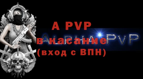 ECSTASY Вяземский