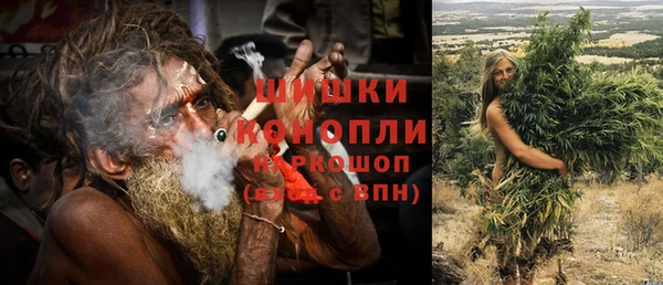 PSILOCYBIN Вязники