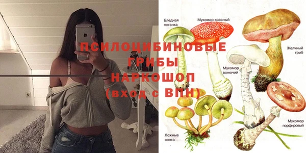 PSILOCYBIN Вязники
