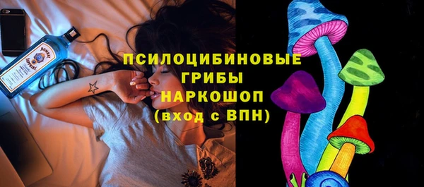 ECSTASY Вяземский