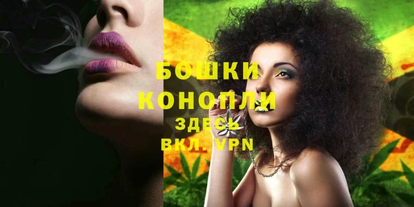 ECSTASY Вяземский